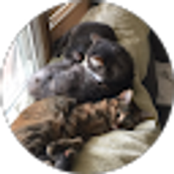 Profile photo of Sheila Carter