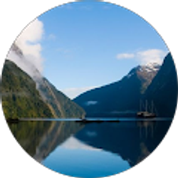 Profile photo of Wayne Kowalchin