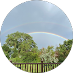 Profile photo of Michelle Anderson