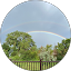 Profile photo of Michelle Anderson