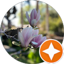 Profile photo of Kerry DeJesus