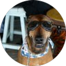 Profile photo of Jay Hamm