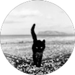 Profile photo of V R
