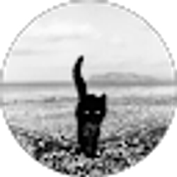 Profile photo of V R