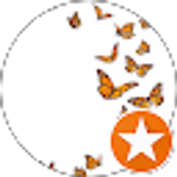 Profile photo of Shay-Shay