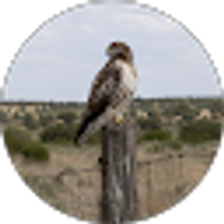 Profile photo of Jason S