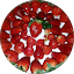 Profile photo of Sonia Rodriguez