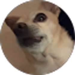 Profile photo of crew