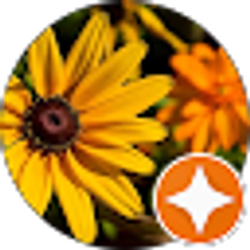 Profile photo of R Barton