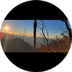 Profile photo of Holly Young