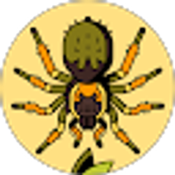Profile photo of Dez