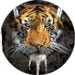 Profile photo of Joanna Majewska