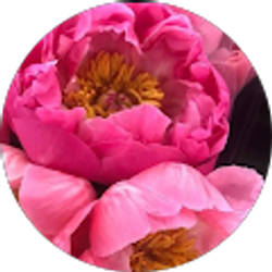 Profile photo of Georgette Savage