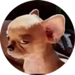 Profile photo of Celestino