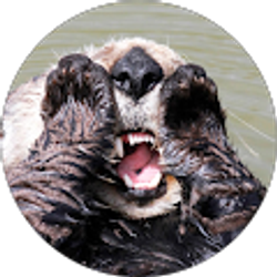 Profile photo of Jan and Mike King