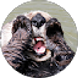 Profile photo of Jan and Mike King