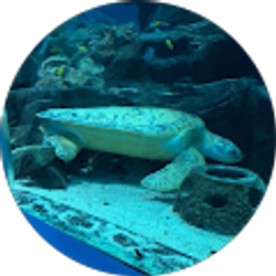 Profile photo of Crystal Malcom