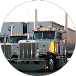 Profile photo of Serj 909