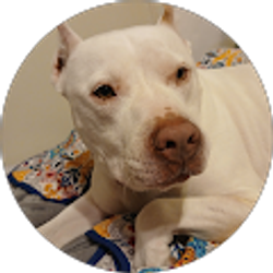 Profile photo of Robin Jones