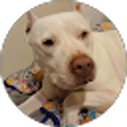 Profile photo of Robin Jones