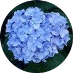 Profile photo of Erin Bockwinkel