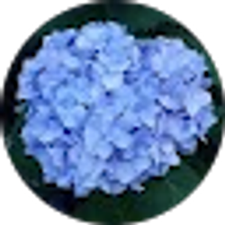 Profile photo of Erin Bockwinkel