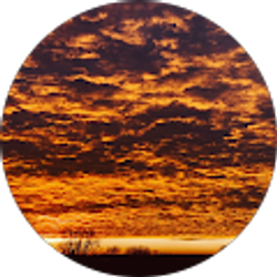 Profile photo of SuperPcjunkie