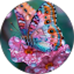 Profile photo of Merri Riley
