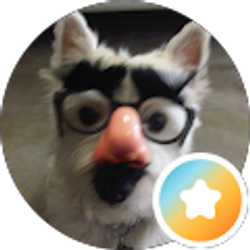Profile photo of R