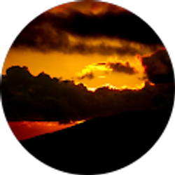 Profile photo of Meleka English