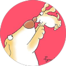 Profile photo of Beth M