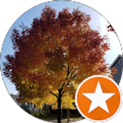 Profile photo of Joshua Walsh