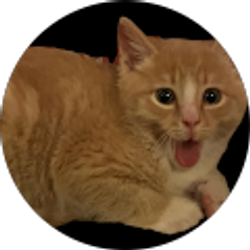 Profile photo of Thavarie Men