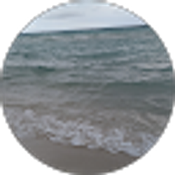 Profile photo of Melissa Ryals