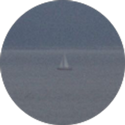 Profile photo of Diego De La O