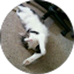 Profile photo of marlana sauceda