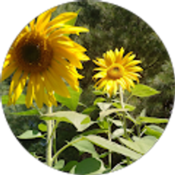 Profile photo of buggin out