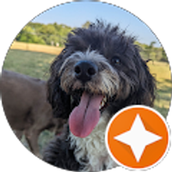 Profile photo of Rocky Richardson