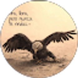 Profile photo of ana monterroso