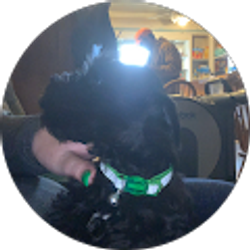 Profile photo of Kristie Currier