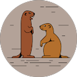 Profile photo of Taylor Anderson