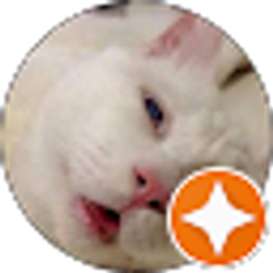 Profile photo of Alix The Lion