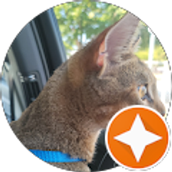 Profile photo of Ni V