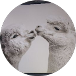 Profile photo of Christina Mullins