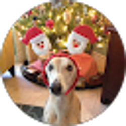 Profile photo of sally chalkley