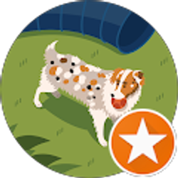 Profile photo of Lisa perry