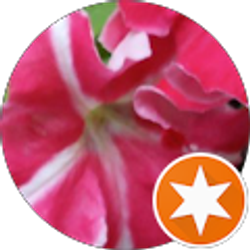 Profile photo of Judi Gower Montoro