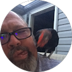 Profile photo of atterbee