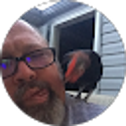Profile photo of atterbee
