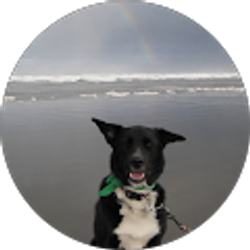 Profile photo of chemyn kodis